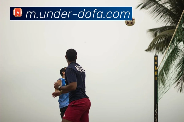 大发官网APP 封面图